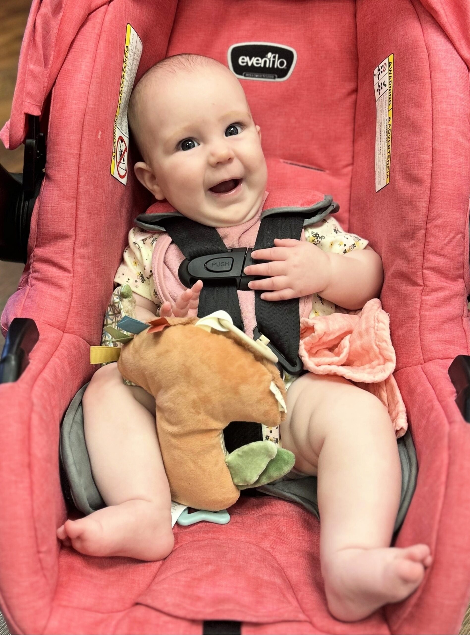 Baby 7